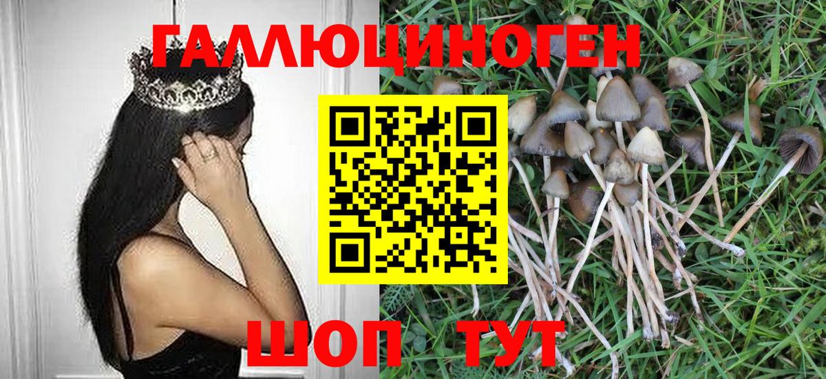 Псилоцибиновые грибы ЛСД  Псилоцибиновые грибы Psilocybine cubensis  Воткинск  Вход с VPN 
